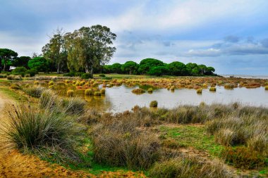 Endülüs Doğal ve Ulusal Parkı - İspanya.