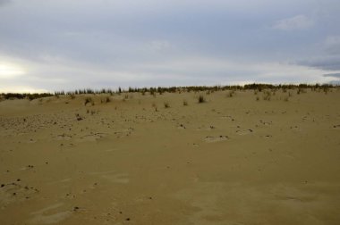 Endülüs Doğal ve Ulusal Parkı - İspanya.