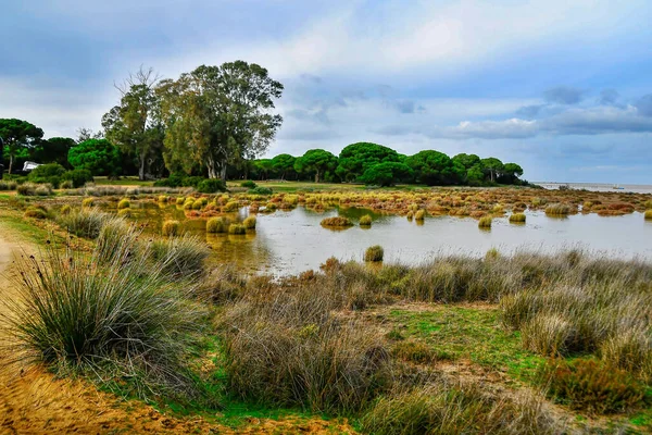 Parque Natural e Nacional da Andaluzia - Espanha. — Fotografia de Stock