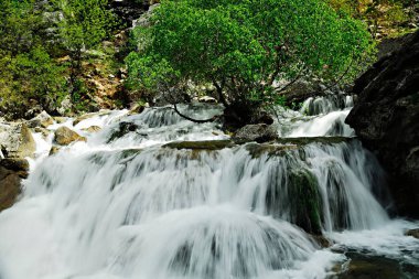 Kalıcı olarak akan doğal su nehri.
