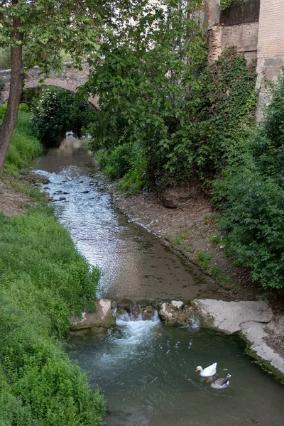 Rio de água natural que flui permanentemente. — Fotografia de Stock