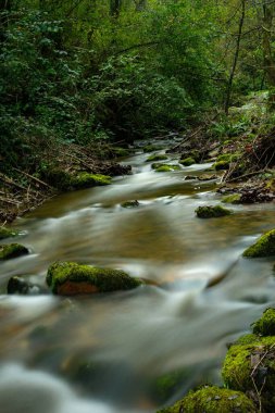 Kalıcı olarak akan doğal su nehri.