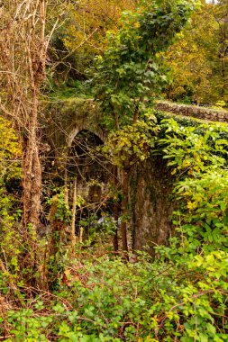 Asturias 'taki eski Roma köprüsü
