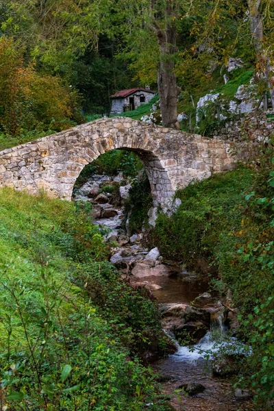 Poo de Cabrales 중세의 다리 , Asturias. — 스톡 사진