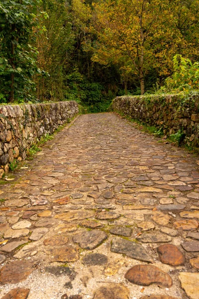 Puente viejo puente romano en Asturias — Foto de Stock