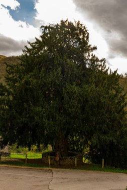 Asturias 'taki Fenez de la Fuente porsuğu..