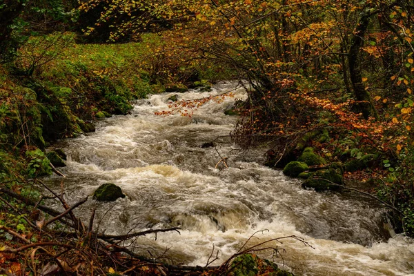 Verlauf des Narcea-Flusses in Asturien. — Stockfoto