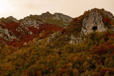 Picos de Europa, Tielve 'deki Duje Nehri Vadisi.