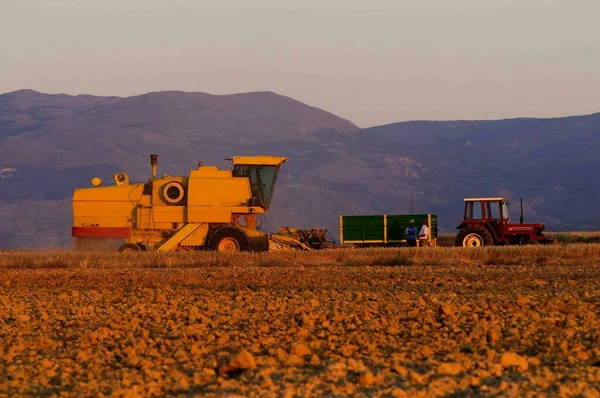 Máquina cosechadora de cereales en el campo — Foto de Stock