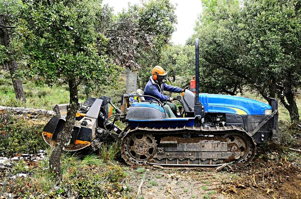 Traktör tarımda çalışıyor.
