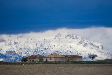 Doğu Dağları 'nın tahıl çayırlarının manzarası - Granada