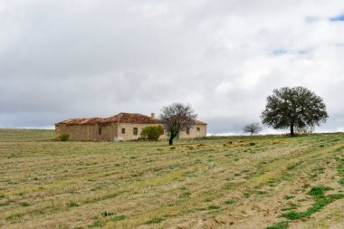 Doğu Dağları 'nın tahıl çayırlarının manzarası - Granada