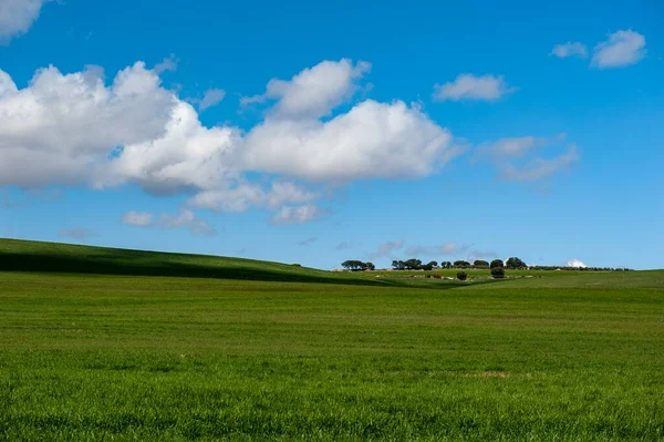 Landschaft der Getreideweiden des östlichen Gebirges - Granada — Stockfoto