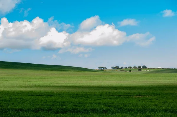 Пейзаж зернового пастбища Восточных гор - Гранада — стоковое фото
