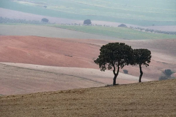 Peisajul pășunilor de cereale din Munții Răsăriteni Granada — Fotografie, imagine de stoc