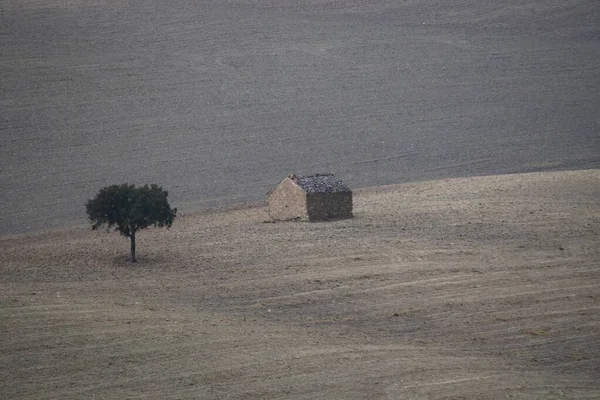 Landskap på kornbeite i de østlige fjellene - Granada – stockfoto