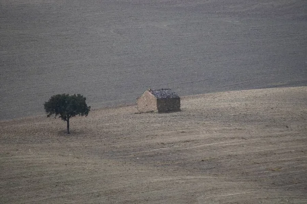 Krajina na obilných pastvinách Východních hor - Granada — Stock fotografie