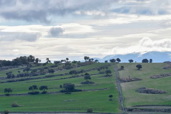 Paisaje de los pastos de cereales de las Montañas Orientales - Granada —  Fotos de Stock