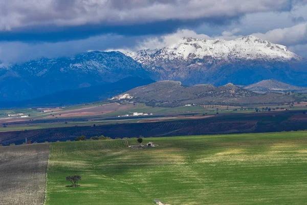 Paisagem do pasto de cereais das Montanhas Orientais - Granada — Fotografia de Stock
