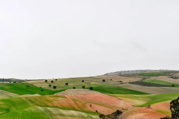 Paisaje de los pastos de cereales de las Montañas Orientales - Granada —  Fotos de Stock