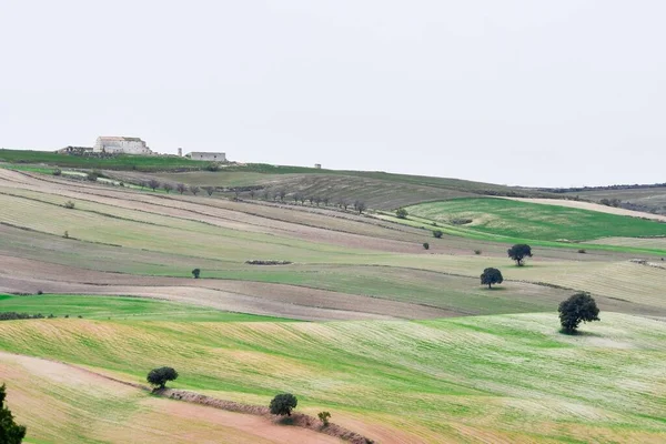 Landskap med spannmålsbetesmark i östra bergen - Granada — Stockfoto
