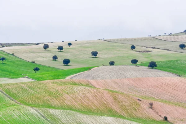 Landskap med spannmålsbetesmark i östra bergen - Granada — Stockfoto