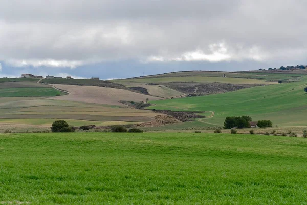 Paisaje de los pastos de cereales de las Montañas Orientales - Granada — Foto de Stock