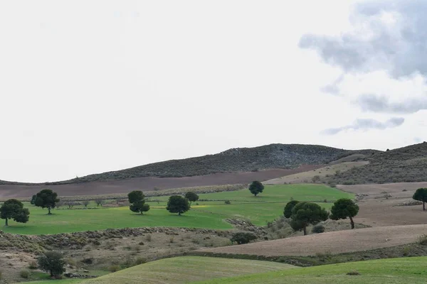 Paisaje de los pastos de cereales de las Montañas Orientales - Granada — Foto de Stock