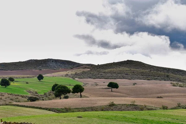 Landschap van de graanweide van de Oostelijke Bergen - Granada — Stockfoto