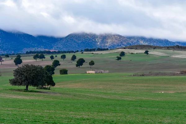 Landskap med spannmålsbetesmark i östra bergen - Granada — Stockfoto