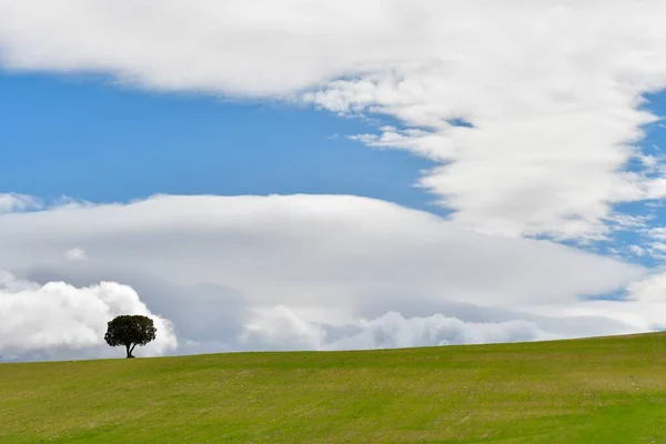 Paisagem do pasto de cereais das Montanhas Orientais - Granada — Fotografia de Stock