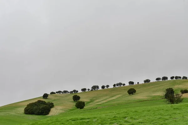 Tájkép a gabona legelő a keleti hegység - Granada — Stock Fotó
