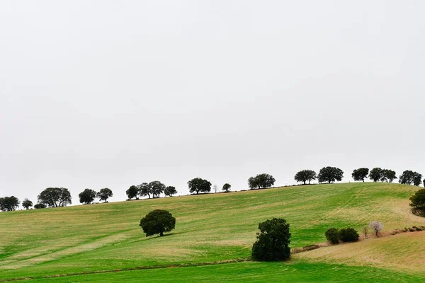 Landskap med spannmålsbetesmark i östra bergen - Granada — Stockfoto