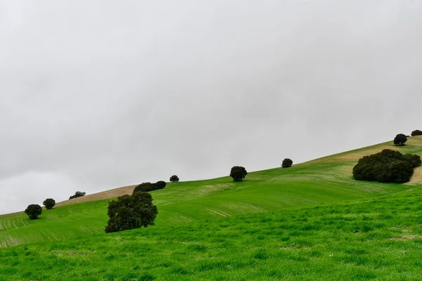 Landskap med spannmålsbetesmark i östra bergen - Granada — Stockfoto