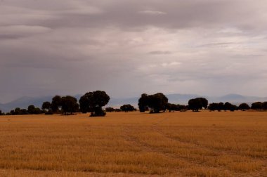 Granada 'nın son bozkırlarında