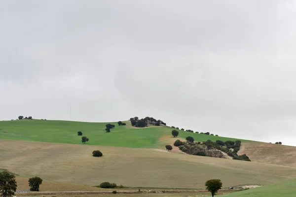 Landskap med spannmålsbetesmark i östra bergen - Granada — Stockfoto