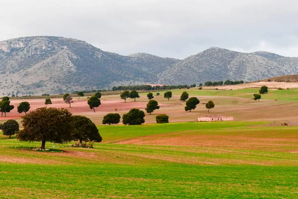 Krajina na obilných pastvinách Východních hor - Granada — Stock fotografie