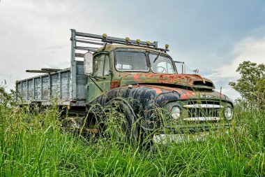 Uruguay 'da terk edilmiş ve bozulmuş eski araçlar.