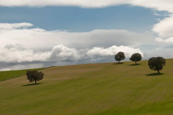 Landschap van de graanweide van de Oostelijke Bergen - Granada — Stockfoto