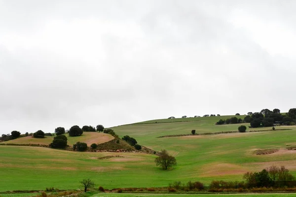 Landskap med spannmålsbetesmark i östra bergen - Granada — Stockfoto