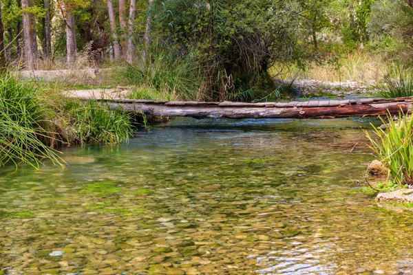 Quiet channel of the river Guadalentin — Stock Photo, Image