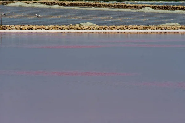 Lagunas de las Salinas del Pinet in the province of Alicante — Stock Photo, Image