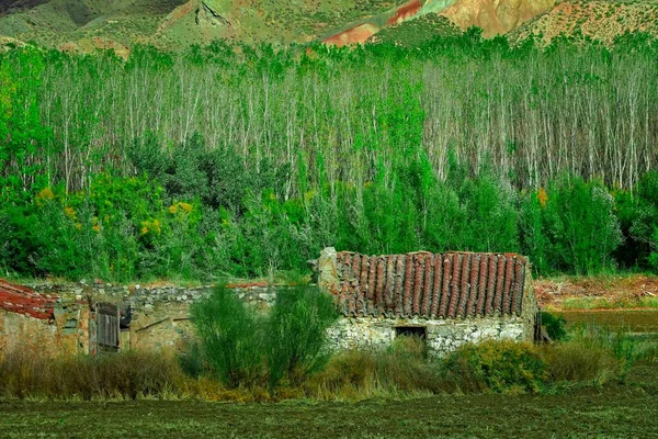 패 데스 강 유역에 있는 알레 메다의 포플러 숲 — 스톡 사진