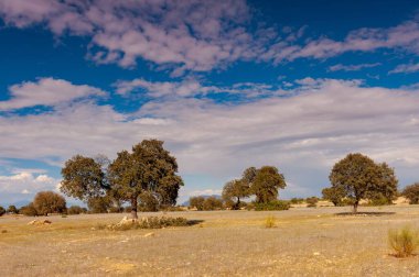 Granada 'nın son bozkırlarında