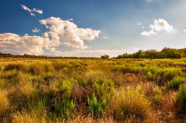 Granada 'nın son bozkırlarında