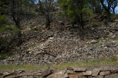 Tahta taşlı tarlalar