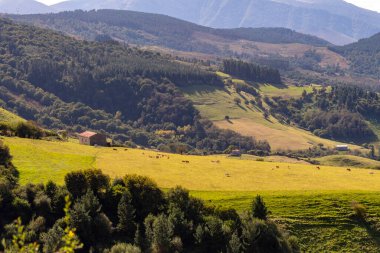 Pass Valley 'in kırsal kesiminin manzarası