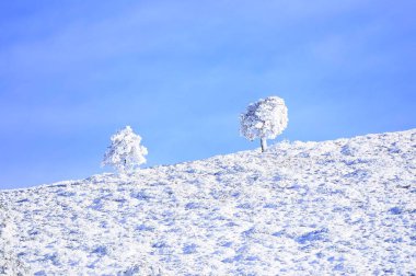 Granada 'nın iç kısımlarından karlı manzaralar - İspanya
