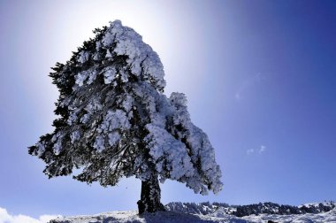 Granada 'nın iç kısımlarından karlı manzaralar - İspanya
