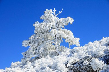 Granada 'nın iç kısımlarından karlı manzaralar - İspanya